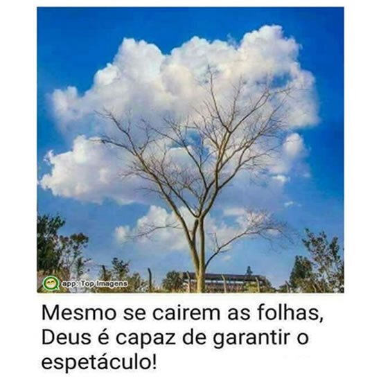 Deus garante o espetáculo