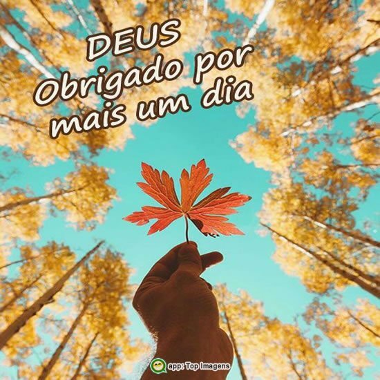 Deus obrigado por mais um dia