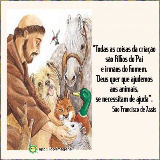 Deus quer que ajudemos aos animais