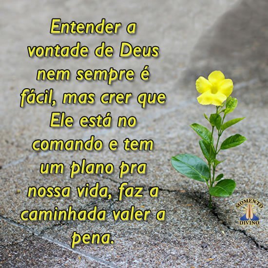 Entender a vontade de Deus