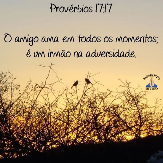 Provérbios 17.17