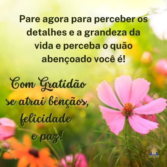 A gratidão atrai bênçãos