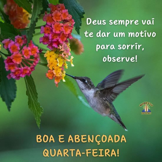 Boa e Abençoada Quarta-feira