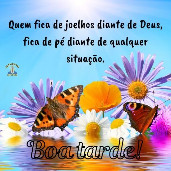 Boa tarde