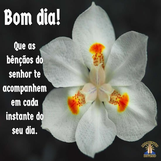 Bom dia