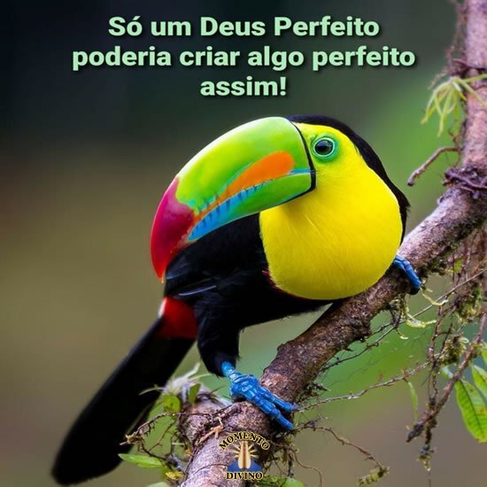 Deus Perfeito