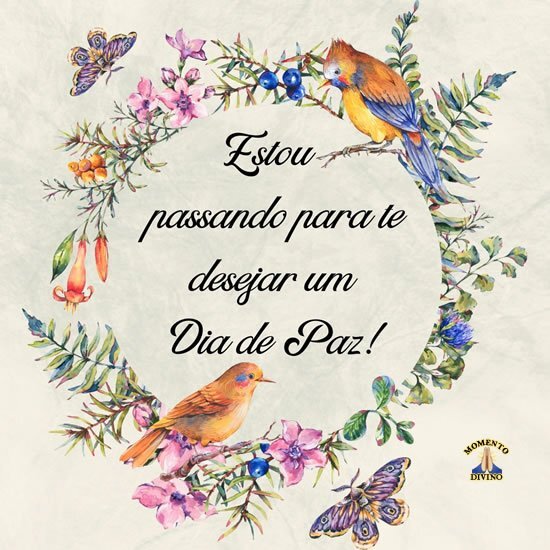 Dia de Paz