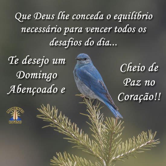 Domingo cheio de paz