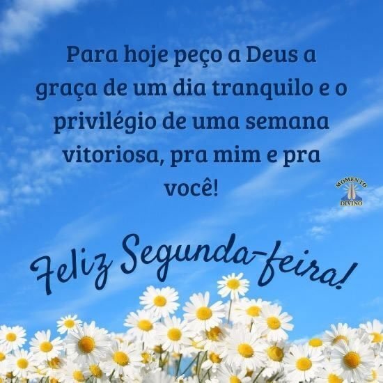 Feliz Segunda-feira