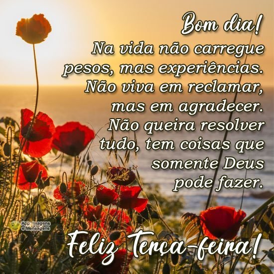 Feliz terça-feira