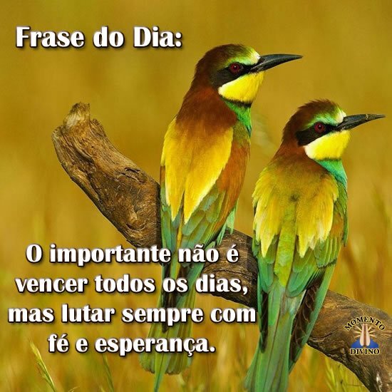 Frase do Dia