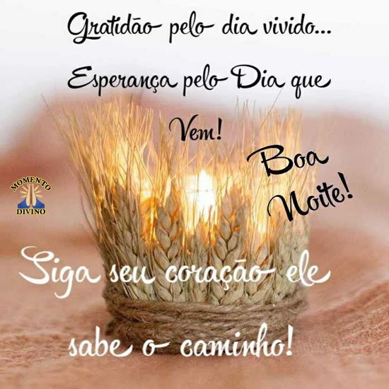 Gratidão pelo dia vivido