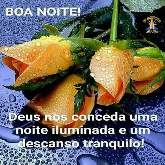 Noite Iluminada