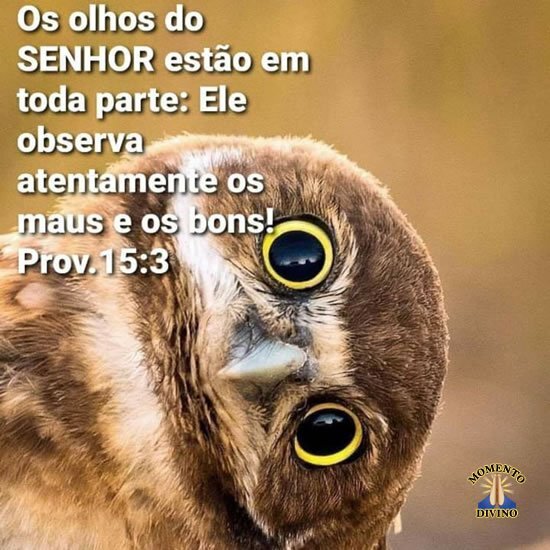 Provérbios 15.3