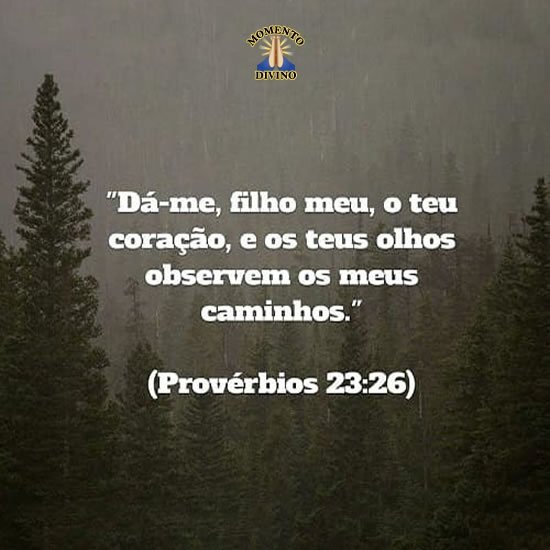 Provérbios 23.26