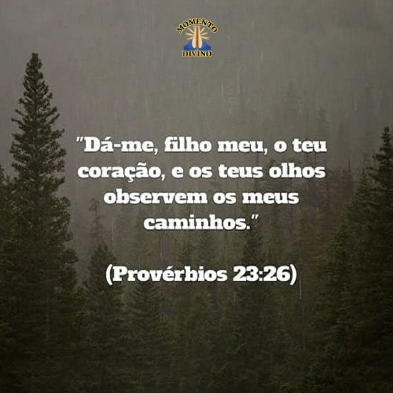 Provérbios 23.26