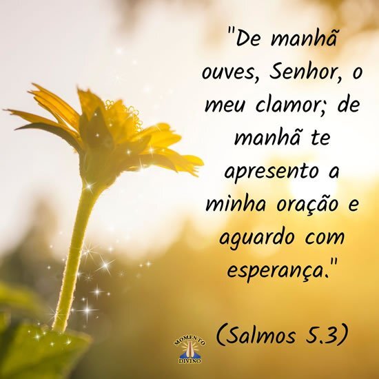 Salmos 5.3