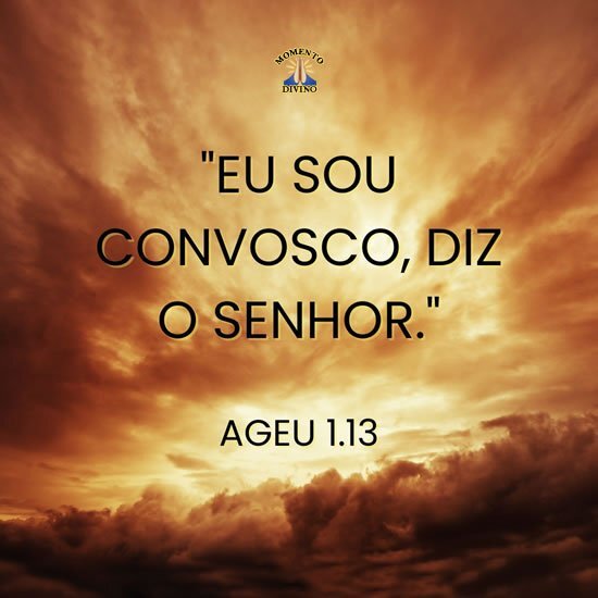 Ageu 1.13