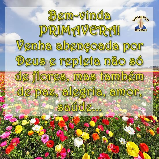 Bem-vinda Primavera - Momento Divino - 6717 Bem-vinda Primavera - Momento Divino - 6717