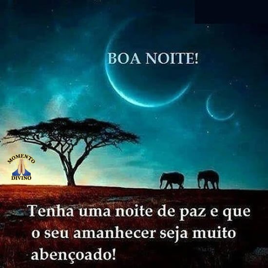 Boa Noite