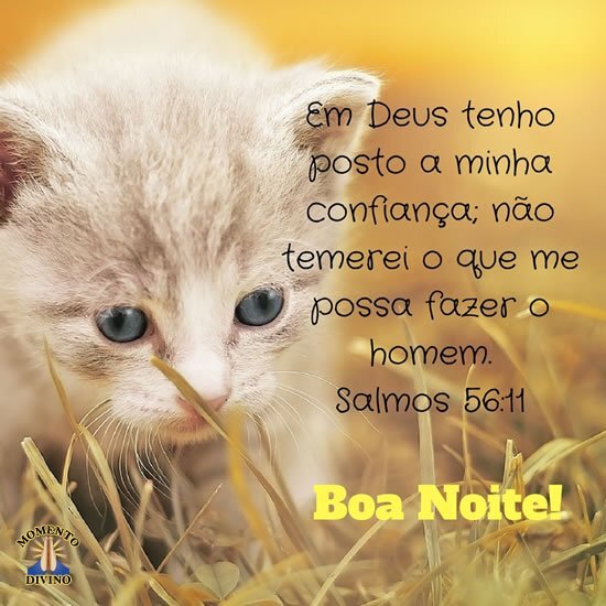 Boa Noite