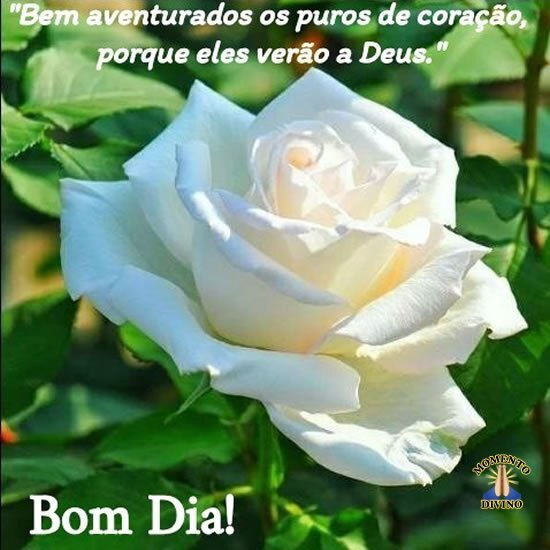 Bom Dia