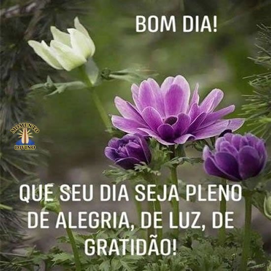 Bom Dia