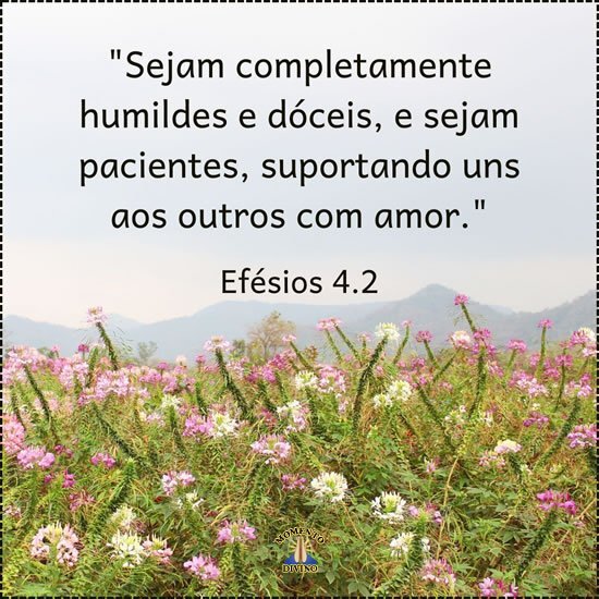 Efésios 4.2