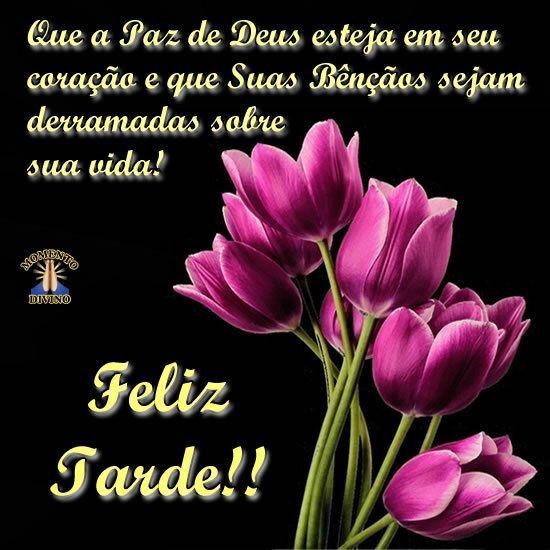 Feliz Tarde