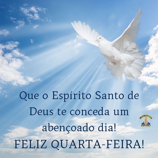 Feliz Quarta-feira