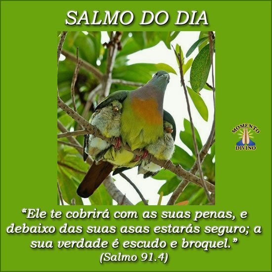 Salmo do Dia