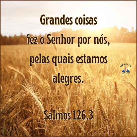 Salmos 126.3