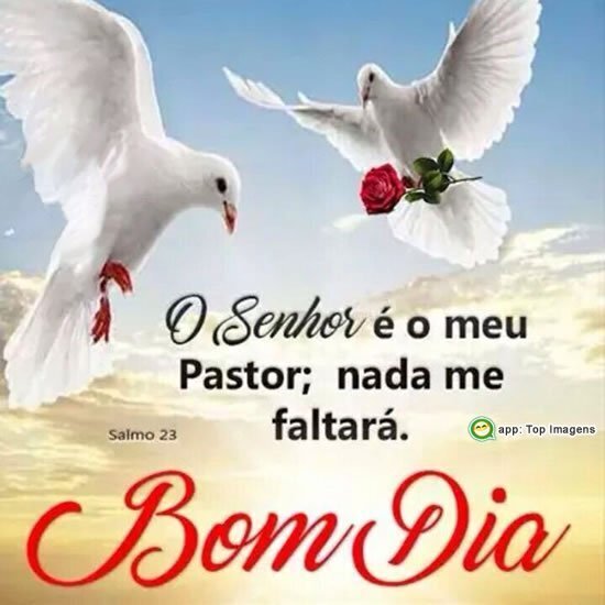 Bom Dia - Momento Divino - 7323 Bom Dia - Momento Divino - 7323