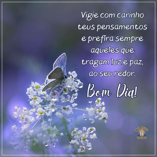 Bom Dia - Momento Divino - 7329 Bom Dia - Momento Divino - 7329