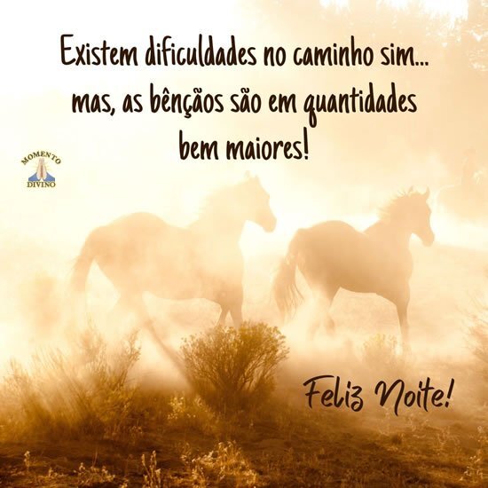 Feliz Noite