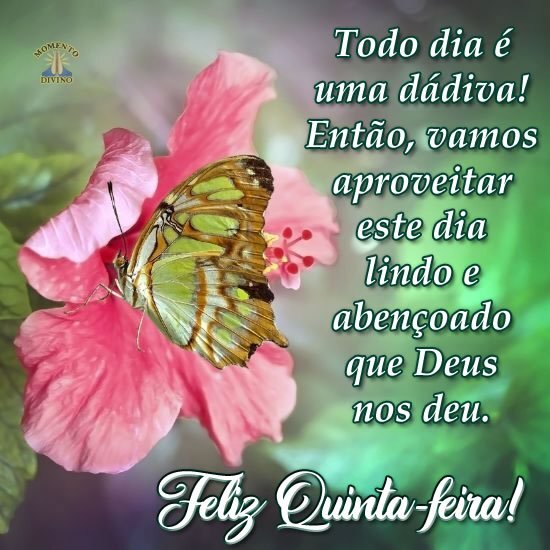 Feliz Quinta-feira