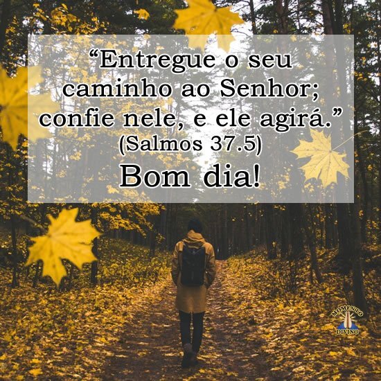 Bom dia