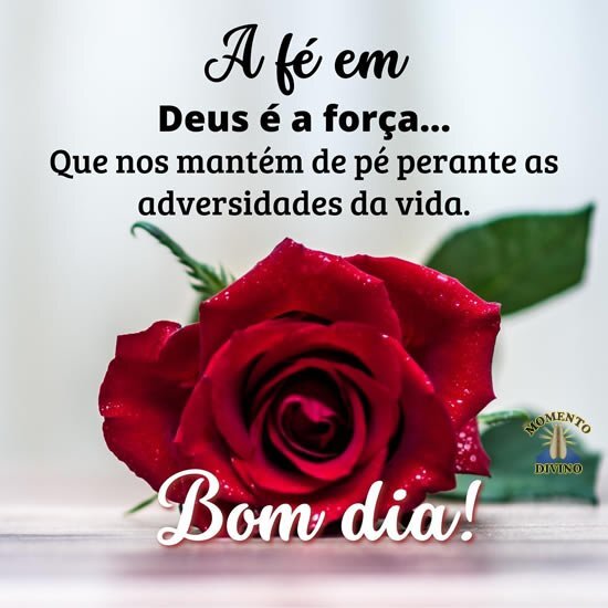 Bom dia