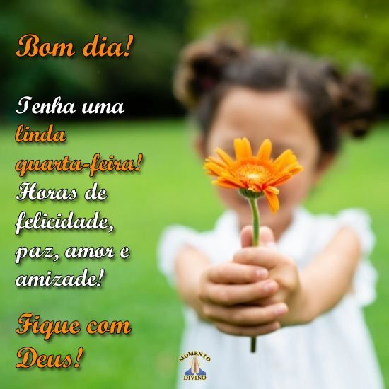 Bom dia de quarta-feira