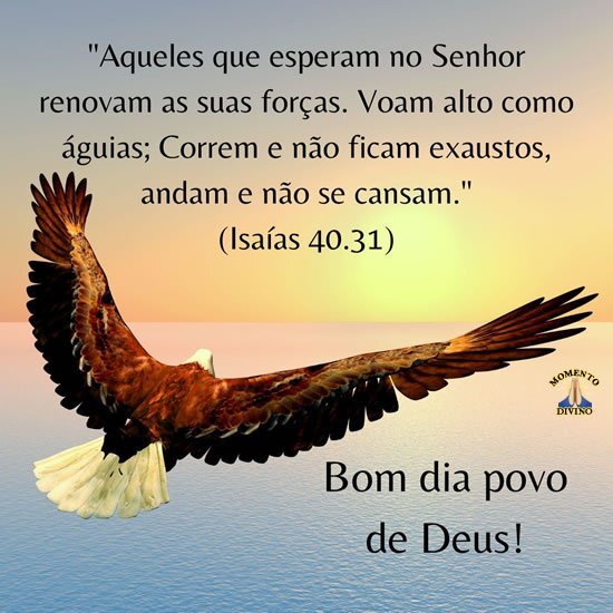 Bom dia povo de Deus