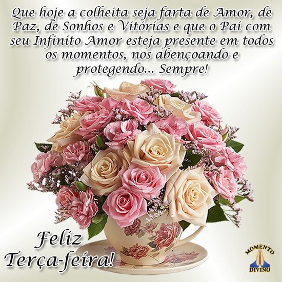 Feliz terça-feira