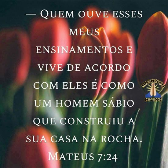 Mateus 7.24