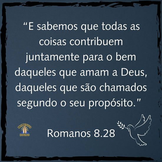 Romanos 8.28