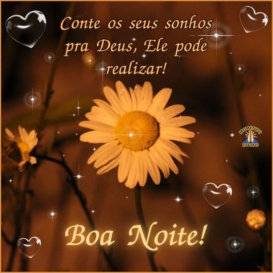 Boa Noite