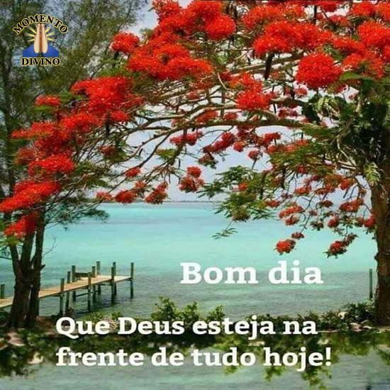 Bom dia