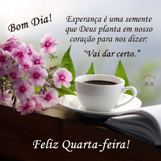 Feliz Quarta-feira