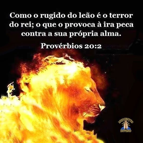 Provérbios 20.2