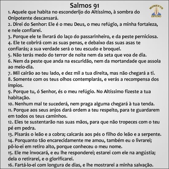 SALMO 91 91 VEZES 