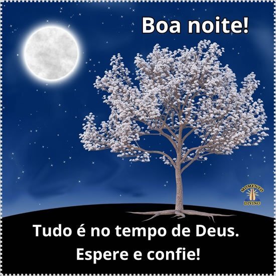 Boa noite