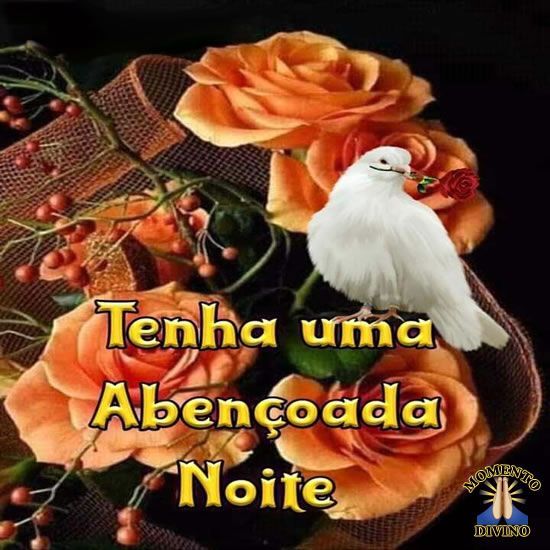 Boa noite